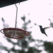 Shelia Turner Photo 32