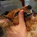 Kimberly Kramer Photo 7