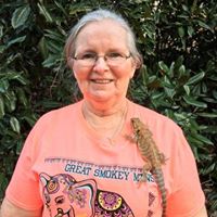 Deborah Clevenger Photo 17