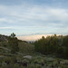 Larry Hendrickson Photo 10