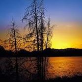 Francesco Barbera Photo 6
