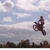 Roland Gross Photo 9