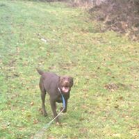 Ruby Hunt Photo 14