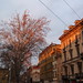 Steven Rainer Photo 10
