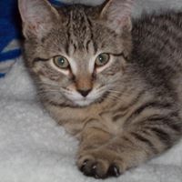 Paula Mahoney Photo 21