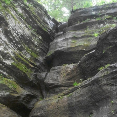 James Robinette Photo 21