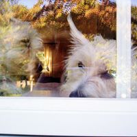 Anne Epstein Photo 19