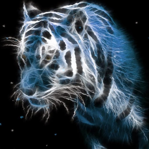 Nick Vaughn Photo 22