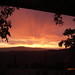 Carol Magill Photo 2