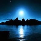 Tracey Mcneil Photo 18