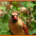 Janice Crow Photo 23