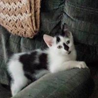 Connie Nanney Photo 2