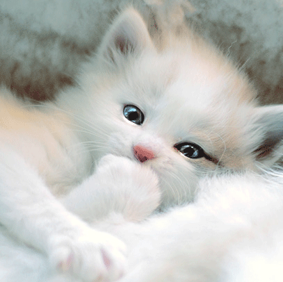 Sharon Marshall Photo 36