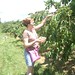 Donna Pick Photo 13