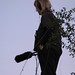 Deborah Small Photo 5