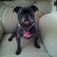 Sandra Denney Photo 13