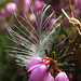 Heather Downing Photo 35