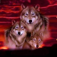 Michelle Langley Photo 11