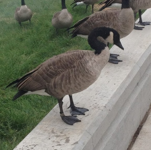 Paul Simmons Photo 41 Paul Simmons Photo 41