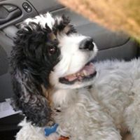 Mary Scheffler Photo 20