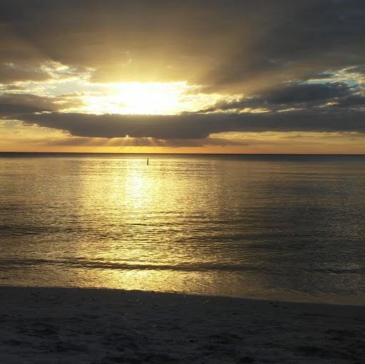 Roland Gilbert Photo 24 Roland Gilbert Photo 24