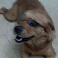 Doris Walters Photo 26