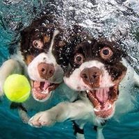 Jason Jaeger Photo 7