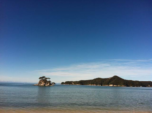 Sarah Reddington Photo 5