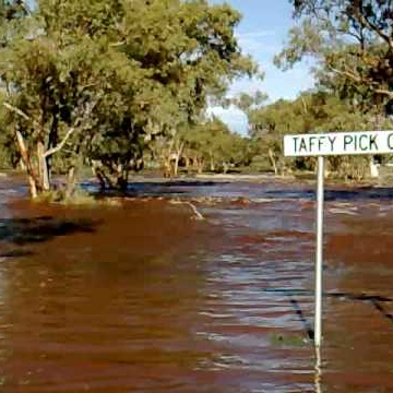 Dale Atkinson Photo 35 Dale Atkinson Photo 35