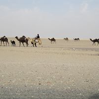 Fleming Russell Photo 8