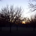 Larry Roeder Photo 4