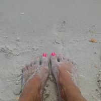Donna Wagner Photo 18