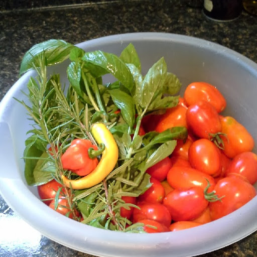 Jackie Scott Photo 25 Jackie Scott Photo 25