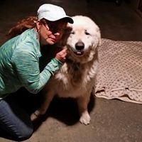 Marsha Mcdonald Photo 30