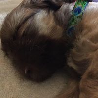 Michele Delaney Photo 32