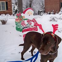 Sally Mccarthy Photo 21