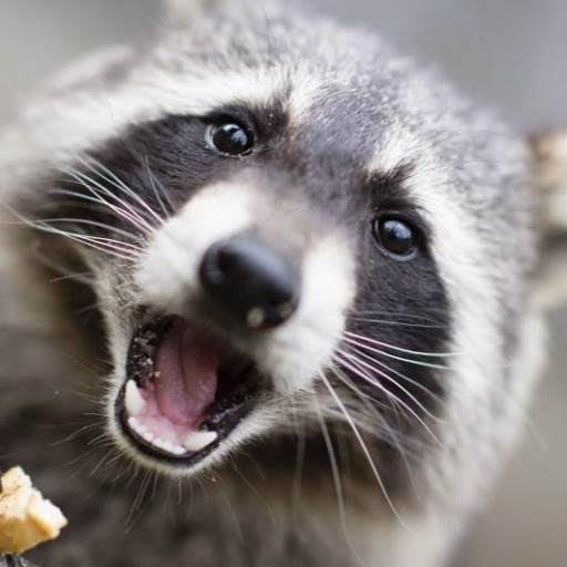 Steven Michel Photo 27 Steven Michel Photo 27