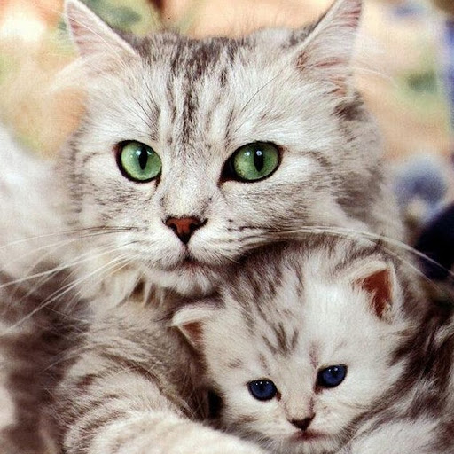 Megan England Photo 16