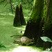 Jesse Parks Photo 27