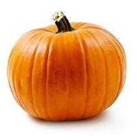 Lucinda Harper Photo 8