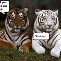 Deborah Darby Photo 11