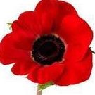 Ellen Gruber Photo 8