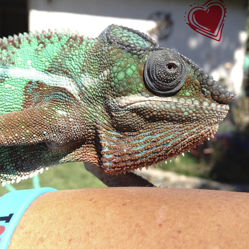 Denise Pope Photo 18 Denise Pope Photo 18