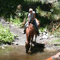 Theresa Tubbs Photo 12