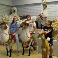 Maria Lyons Photo 15