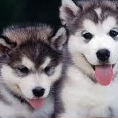 Sue Todd Photo 20 Sue Todd Photo 20