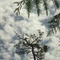 Shawn Carlsen Photo 9