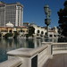 Julia Wynn Photo 6
