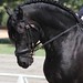 George Rupert Photo 14