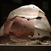 Dan Kuhn Photo 25